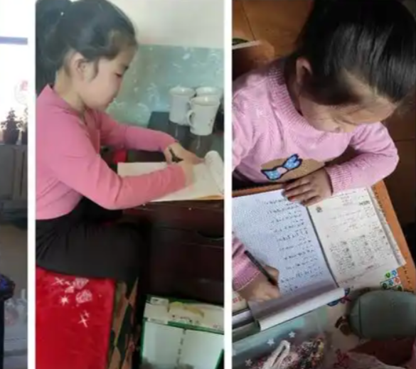 假期教育的特色让每个学生都能在假期中找到适合自己的成长方式